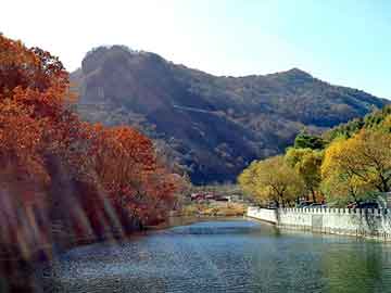 新澳天天开奖资料大全旅游团，泊君